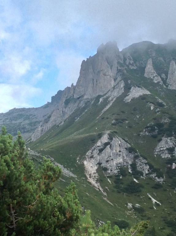 Affittacamere Valle Dorizzo Di Scavoni Paolo Val Dorizzo Екстериор снимка
